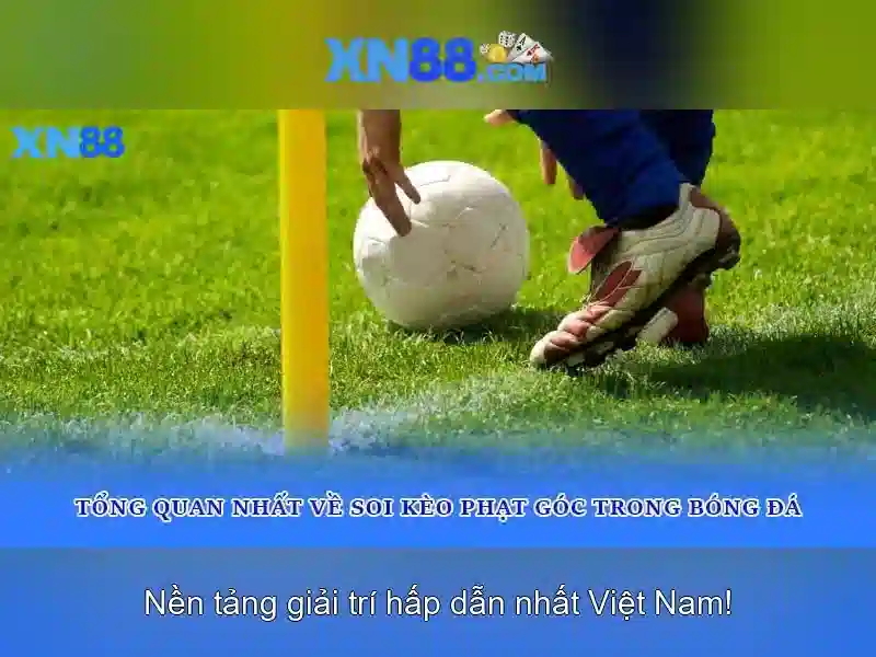 Các tính năng nổi bật Các tính năng nổi bật