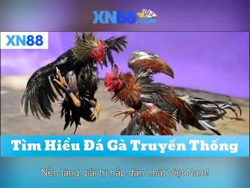xn88: Nền tảng trò chơi trực tuyến và cộng đồng người chơi