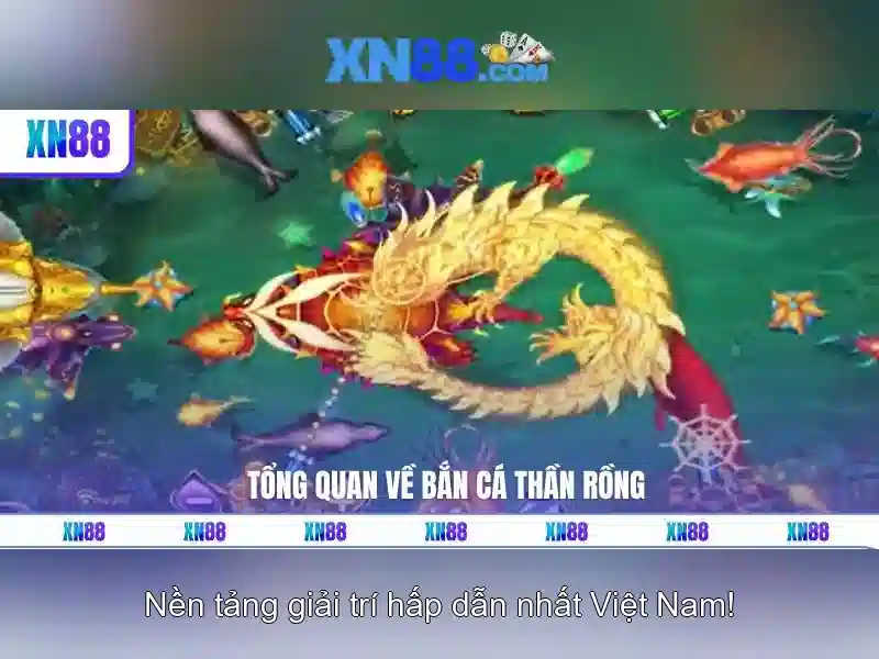 xn88: Đánh giá và giới thiệu