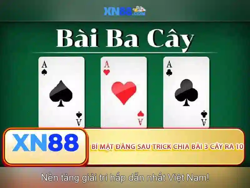 Nền tảng và chức năng chính