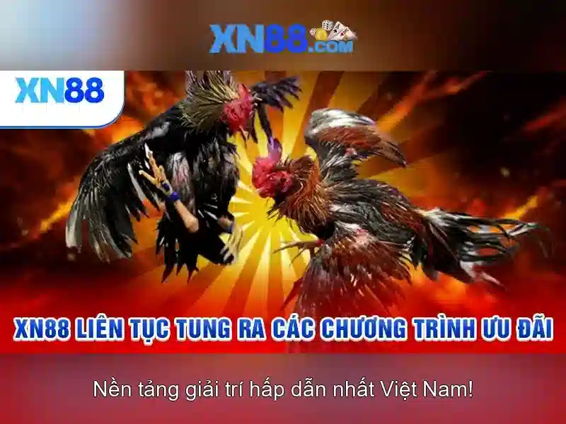 Về xn88 - Nền tảng trò chơi trực tuyến