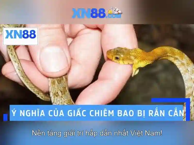 Tính năng nổi bật