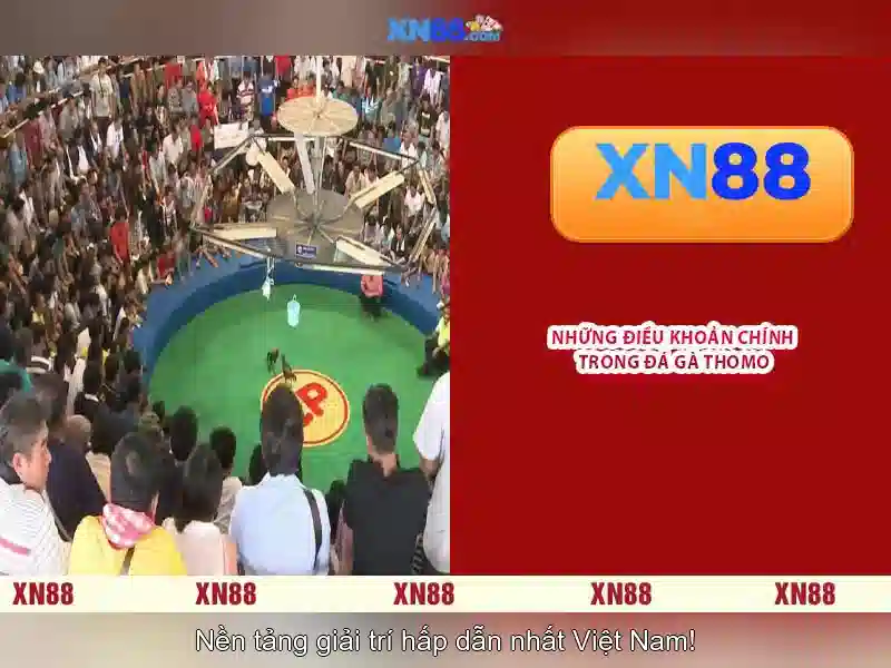 XN88 – Nền tảng chơi game trực tuyến đáng tin cậy