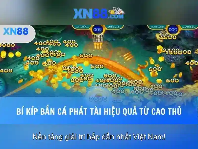 XN88: Khám phá nền tảng cá cược trực tuyến hàng đầu